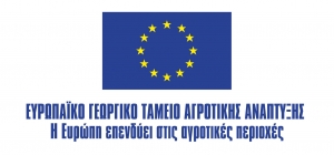 flag-eu_slogan-300x140